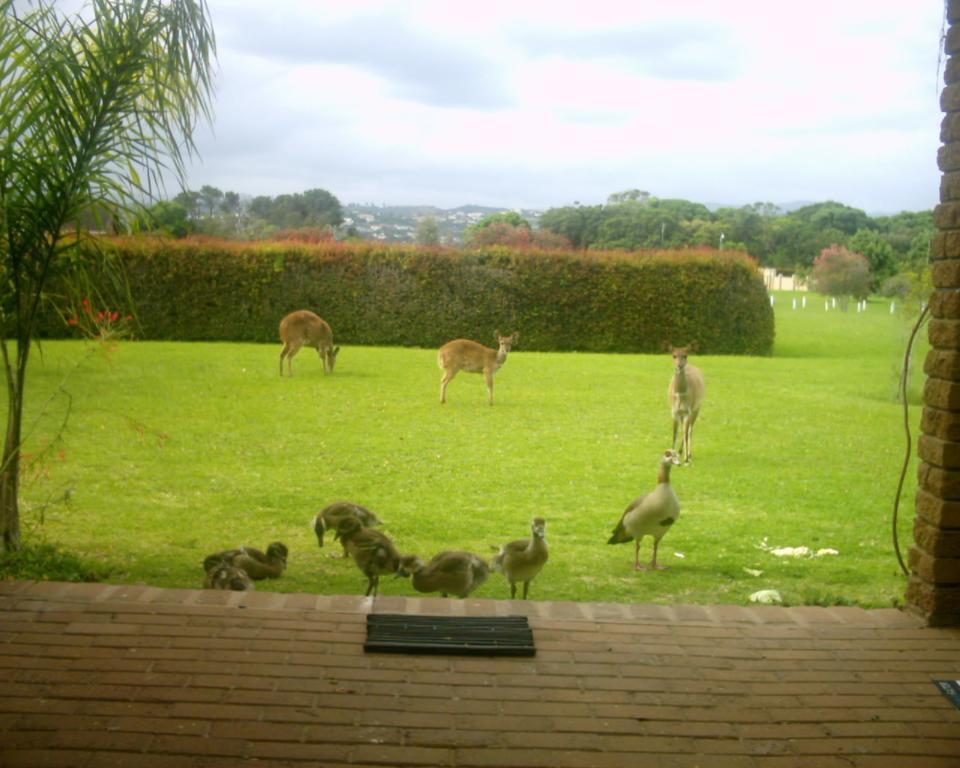Brenton Lake Holiday Cottages エクステリア 写真