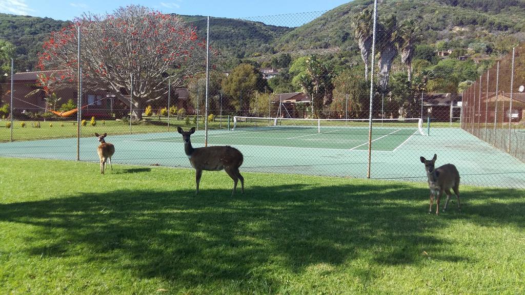 Brenton Lake Holiday Cottages エクステリア 写真